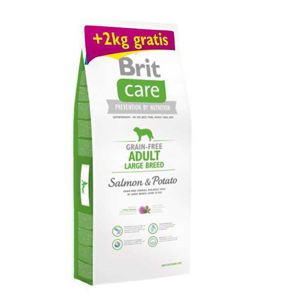 Brit Care Somonlu Patatesli Tahılsız Yetişkin Maxi Köpek Maması 12+2Kg