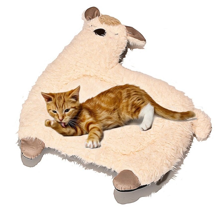Kedi ve Köpek Yatağı Alpaga