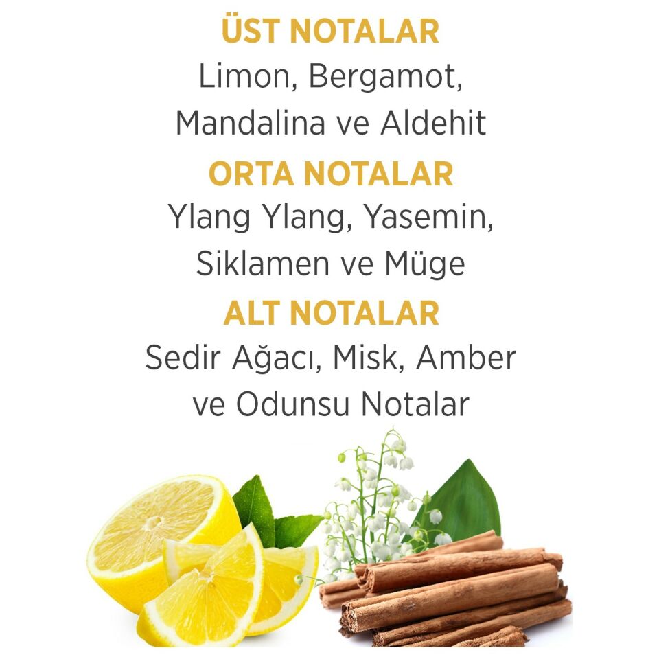 Blade Archer EDT 100ML Erkek Parfümü