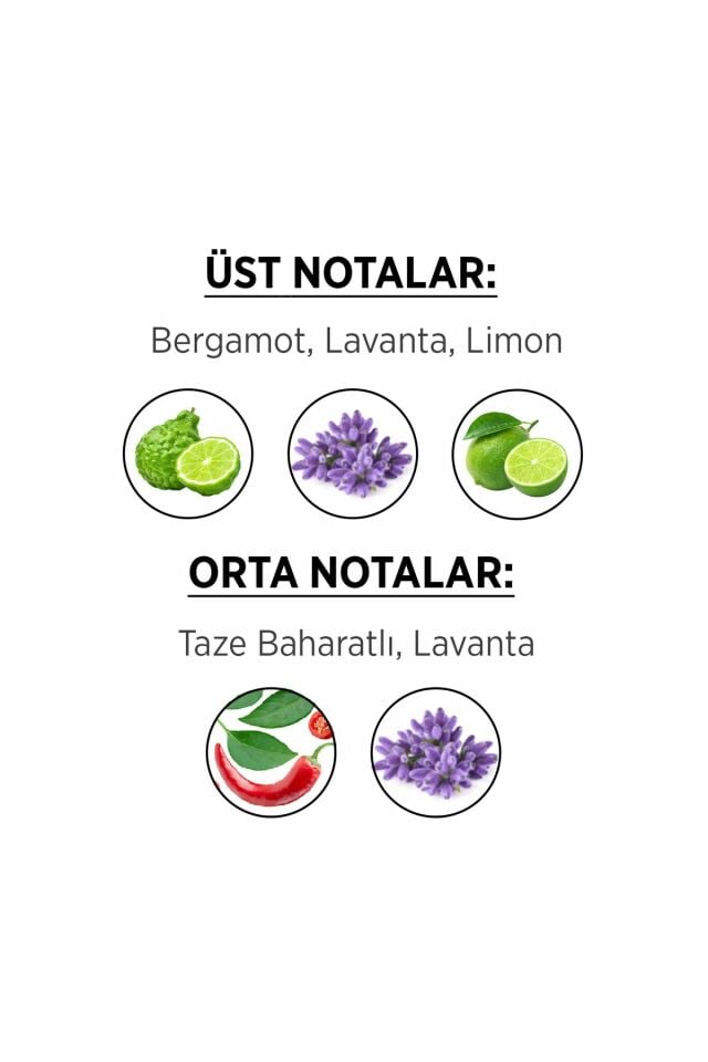 Privacy Man Limited Edition EDT 50 ml Erkek Parfüm