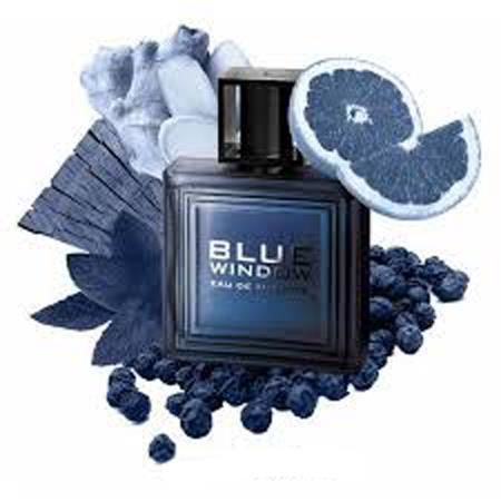 Linn Young Blue Window For Men Edt 100 ml Parfüm