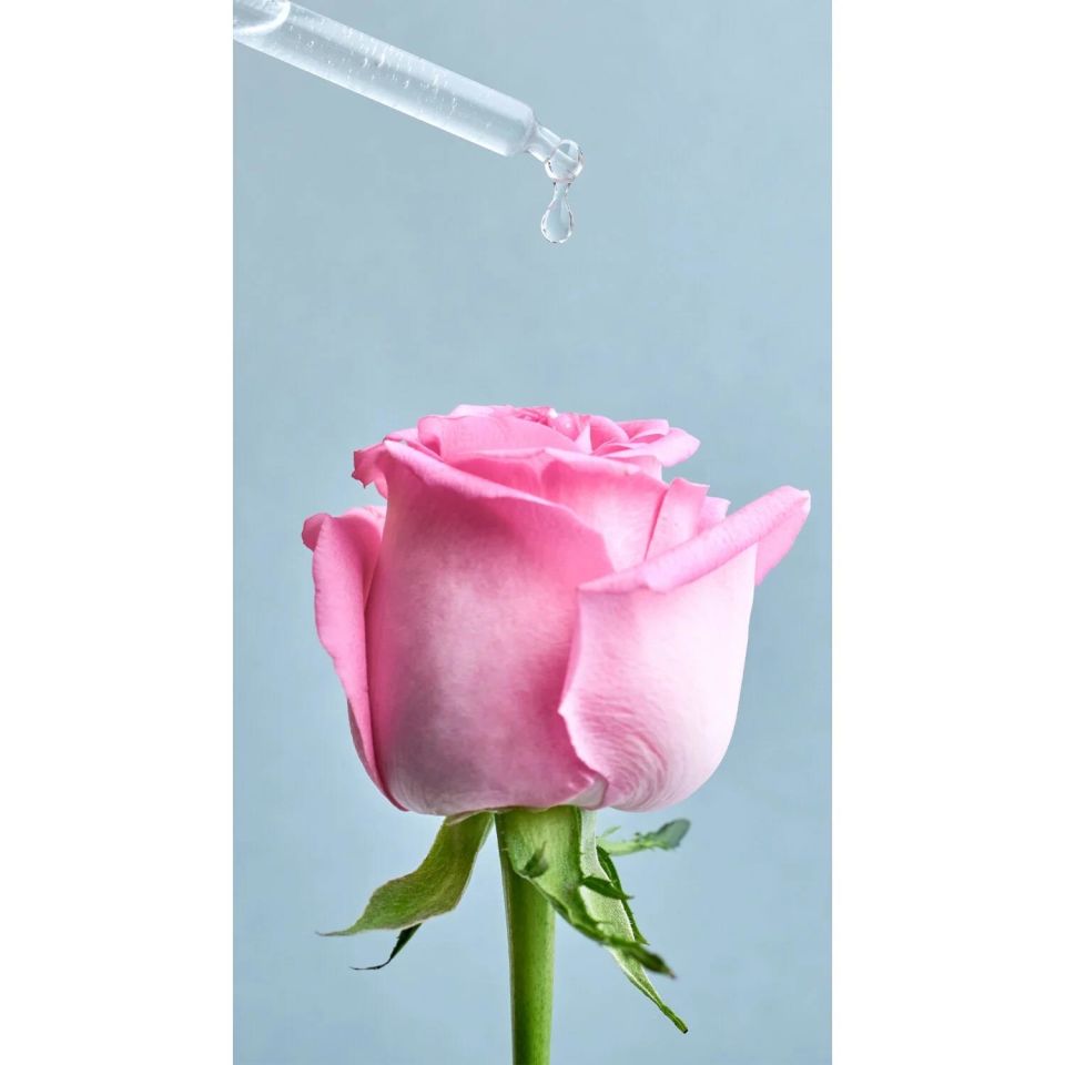 Nivea Aqua Rose Organik Gül Suyu İçeren Nemlendirici Tonik (200ml), Tüm cilt tipleri için, Gözenek Arındırıcı, 24 Saat Yüz Nemlendirici