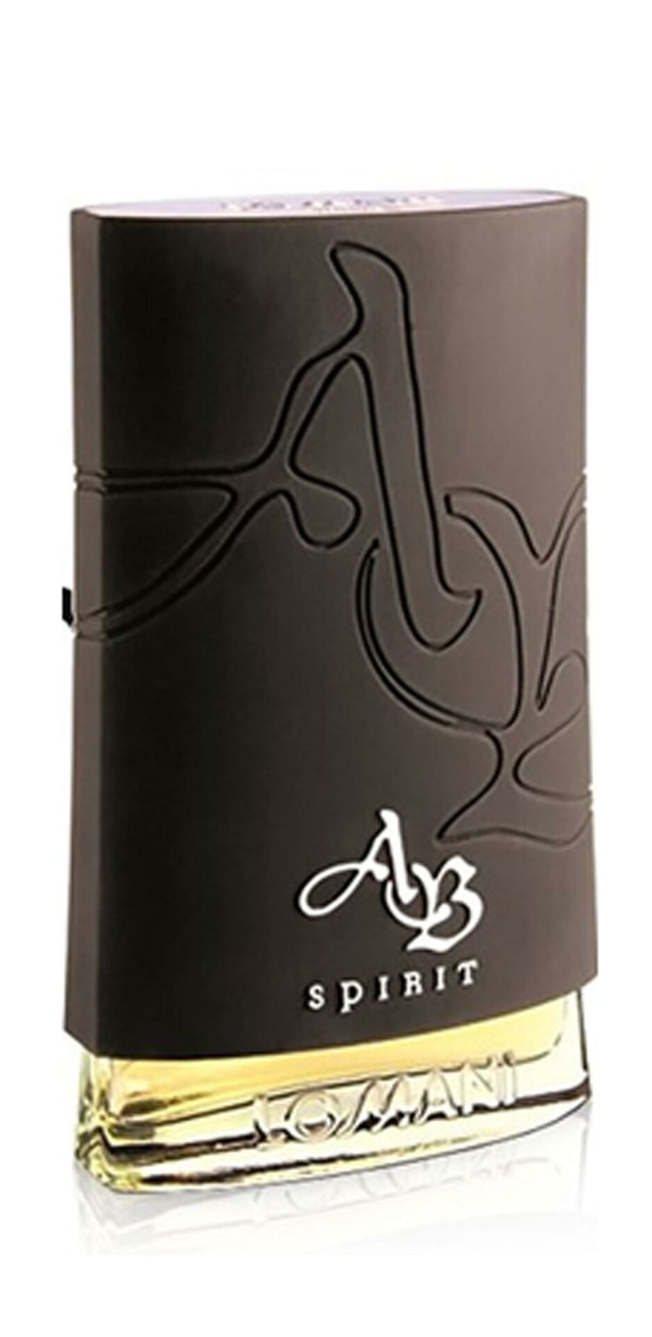 Lomani AB Sprit Platinium Erkek Parfüm 100 ML Edt - dış kutu yok