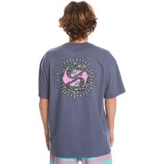 Quiksilver Spin Cycle SS Erkek T-Shirt