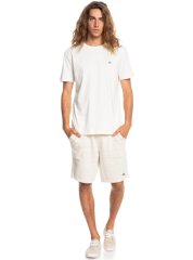 Quiksilver Essentials SS Erkek Tişort