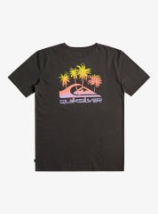 Quiksilver Pastime Paradise Erkek T-shirt