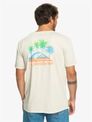 Quiksilver Pastime Paradise Erkek T-shirt