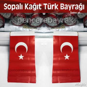 Kağıt Bayrak | Türk Bayrağı Çubuklu | 80 Adet 12x20 cm