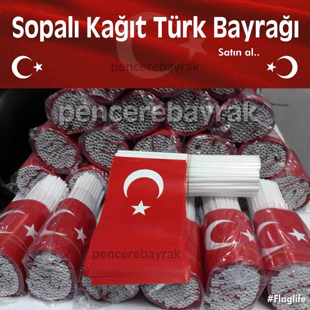 Kağıt Bayrak | Türk Bayrağı Çubuklu | 80 Adet 12x20 cm