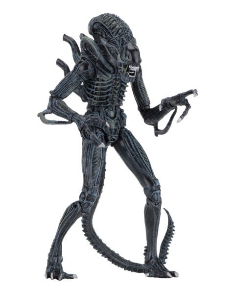 Aliens - Ultimate Aliens Warrior (1986) Aksiyon Figürü (Mavi)