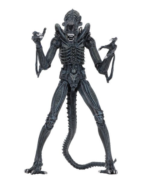 Aliens - Ultimate Aliens Warrior (1986) Aksiyon Figürü (Mavi)