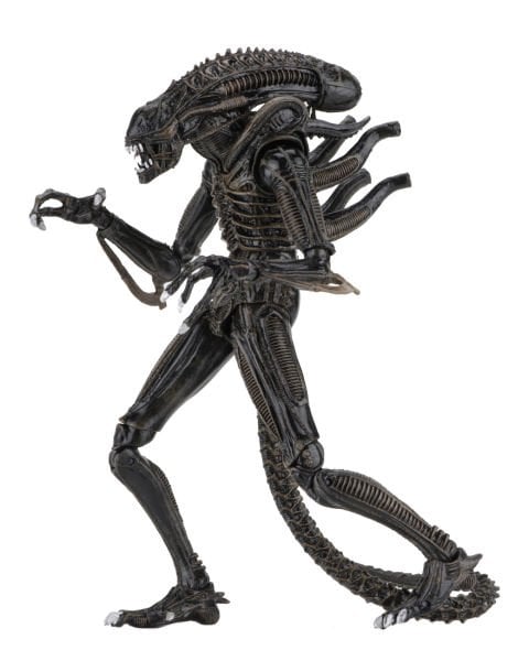 Aliens - Ultimate Aliens Warrior (1986) Aksiyon Figürü (Kahverengi)