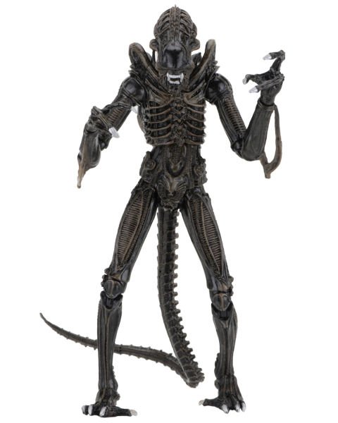 Aliens - Ultimate Aliens Warrior (1986) Aksiyon Figürü (Kahverengi)