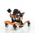 WG-W943 Pediatrik Walker