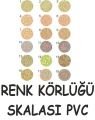 Renk Körlüğü Skalası