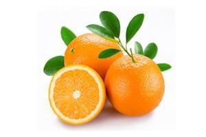 Portakal Fidanı  120-140 Cm