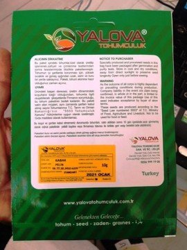 Kabak Tohumu Kolsuz-Kara Çeşidi Pakette 10 Gram Sertifikalıdır