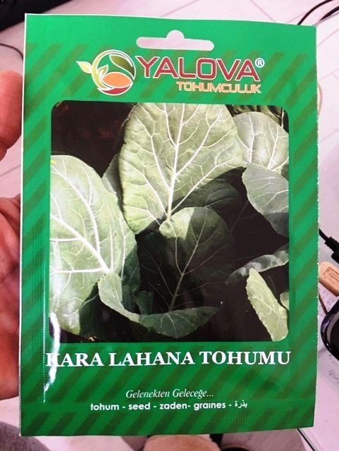 Kara Lahana Tohumu Pakette 10 Gram Sertifikalıdır