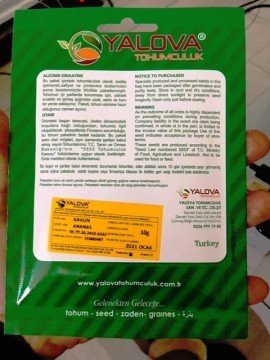 Kavun Tohumu Ananas Çeşidi Pakette 10 Gram Sertifikalıdır