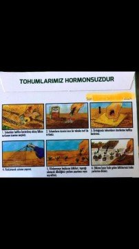 Roka Tohumu Pakette 10 Gram Sertifikalıdır