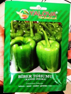 Biber Tohumu Kandil Dolma Pakette 10 Gram Sertifikalıdır