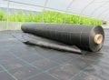 TABAN YER ÖRTÜSÜ 300 m2 LİK