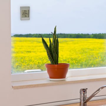 30.1067.15 Dijital Pencere termometresi Windoo
