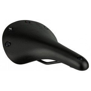 Brooks Cambium C19 Sele Siyah