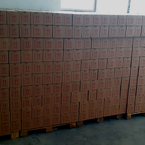 BIO Transporter Cool S - UN 2814 & UN 2900