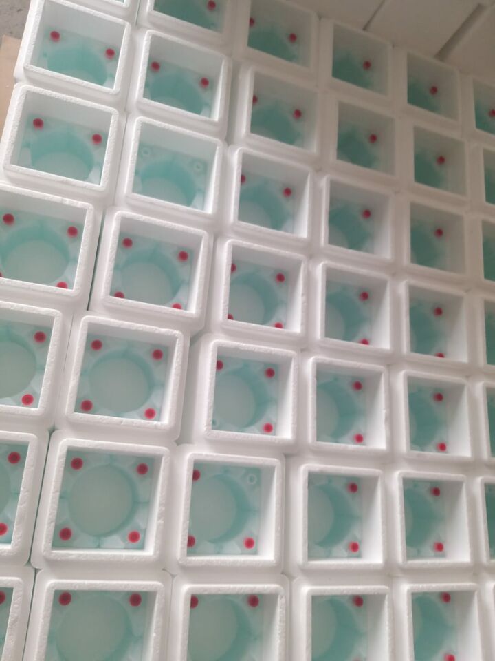BIO Transporter Cool S - UN 2814 & UN 2900