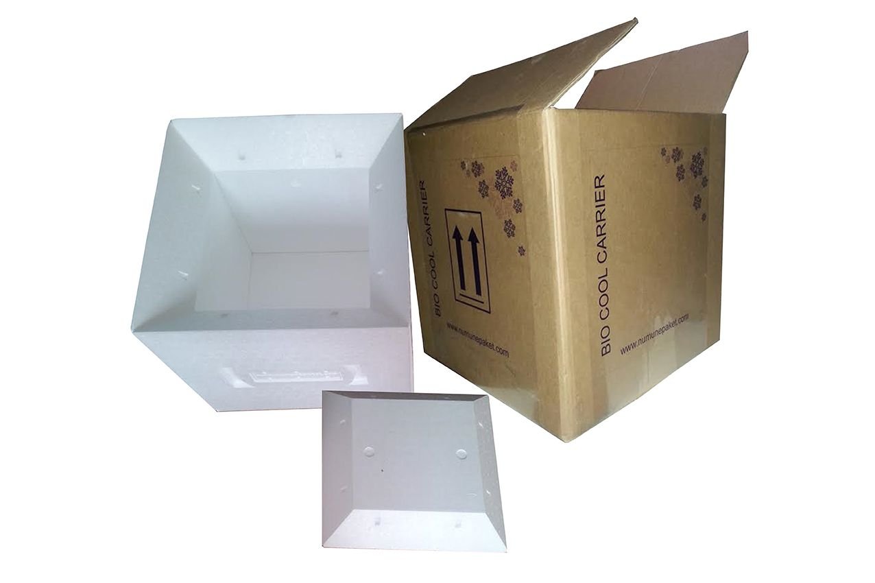 BIO Frozen XL - UN 3373 karton kit