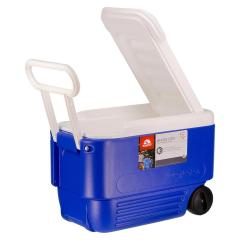 36 Litre Organ Taşıma Çantası - Igloo