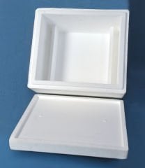 Kurubuzlu Taşıma Kutusu - L