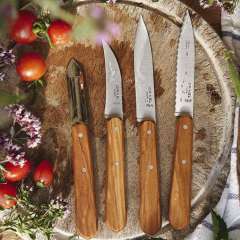 Opinel Essential Günlük 4'lü Mutfak Bıçak Seti