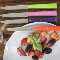 Opinel Bon Appetit Pop 4 Parça Ahşap Saplı Sofra Bıçağı N°125