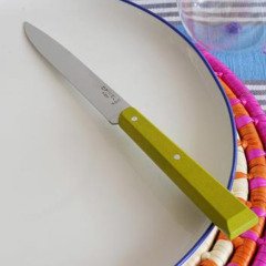 Opinel Bon Appetit Ahşap Saplı Sofra Bıçağı (Yeşil)