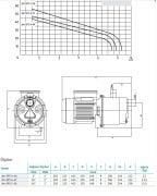 JET - SPS  5-56