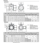 VAI61.20-4 PN40 2Y DİŞLİ VANA