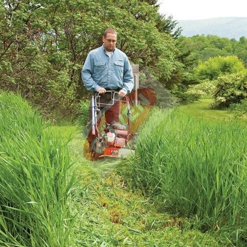 Palmera PT160 Tekerlekli Motorlu Tırpan Benzinli 5.5Hp