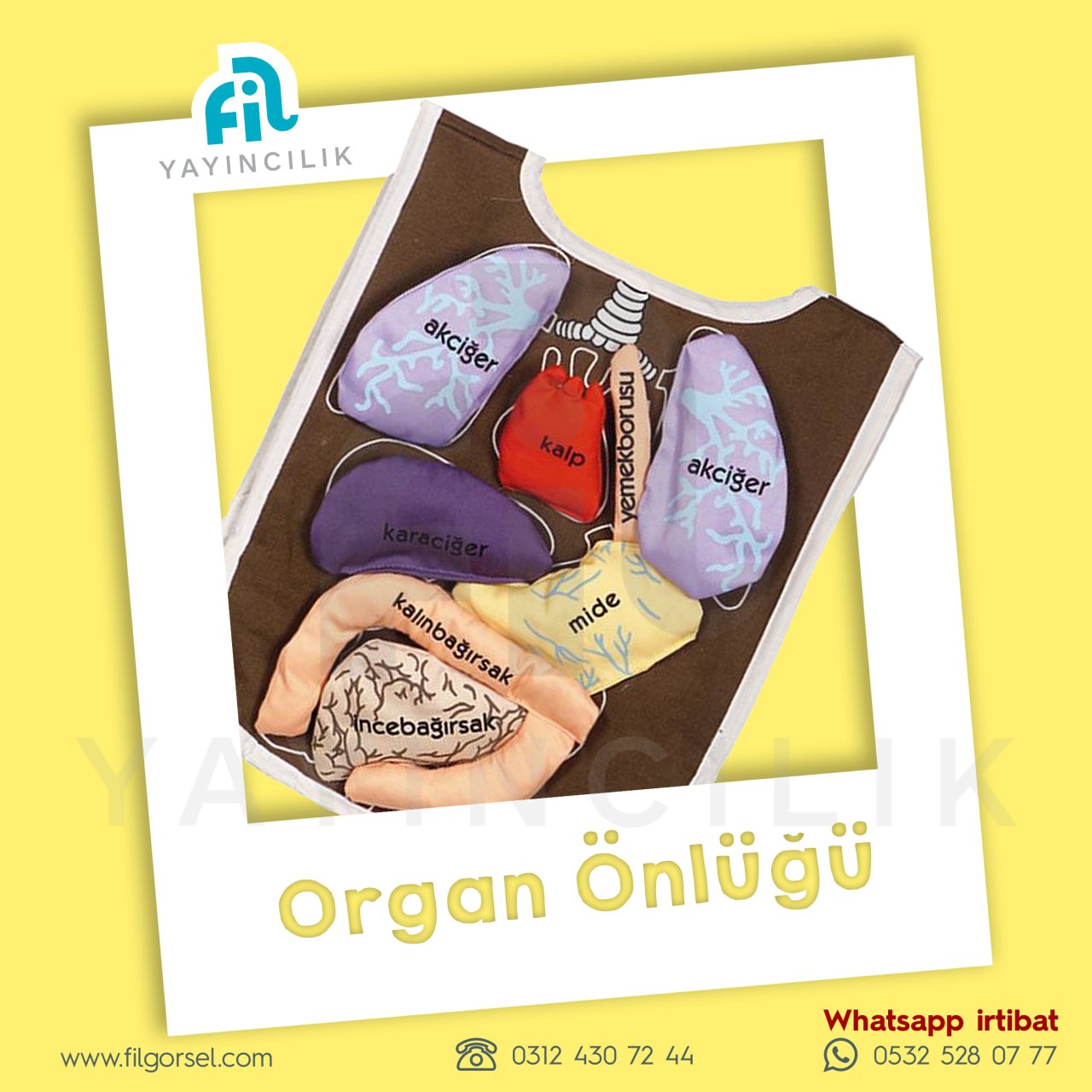 ORGAN ÖNLÜĞÜ