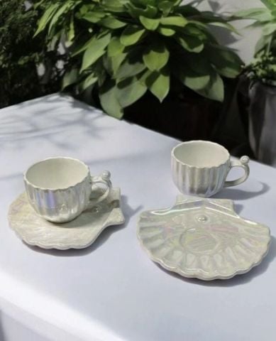 1 Adet 2. Kalite istiridye damat fincanı