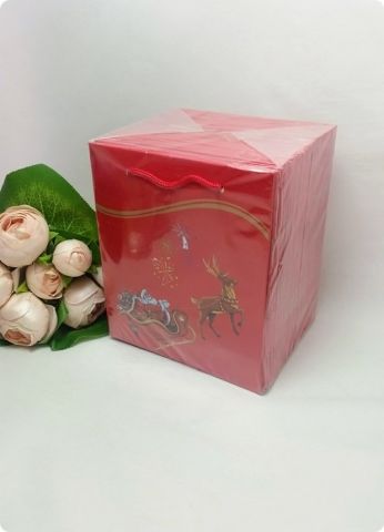 25 Li Yılbaşı Kırmızı Karton Çanta, Poşet 14x17 cm