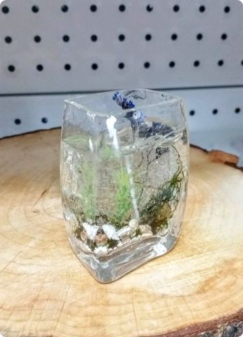 6 adet deniz süsü objeli jel mum