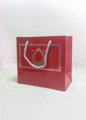 10 Lu (18x16 Cm) Körüklü,Baskılı, İpli,  Karton Çanta, Poşet