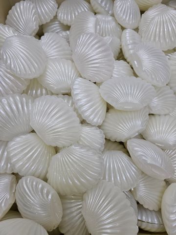 25 Lİ İSTİRİDYE KUTU İNCİ PLASTİK SEDEF
