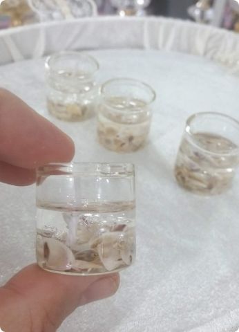 6 lı deniz kabuklu jel mum (3 cm)