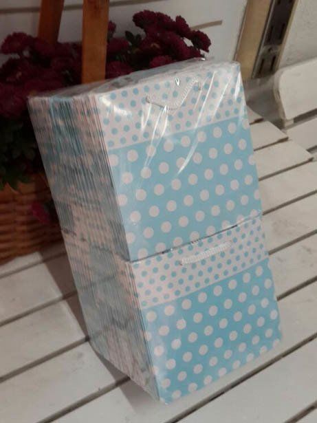 50 Li 11x11 Cm (Altın,Mavi,Siyah) Körüklü Karton Çanta