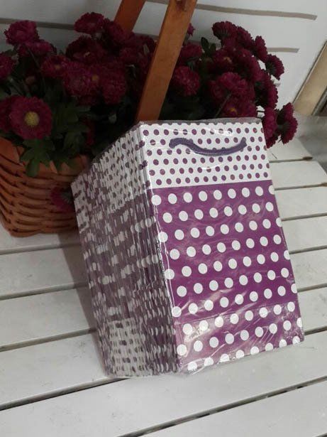 25 Li 11x17  Cm (Pembe,Mavi,Mor,Gümüş)Körüklü Karton Çanta / Poşet