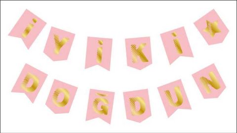 FLAMA İYİKİ DOĞDUN PEMBE