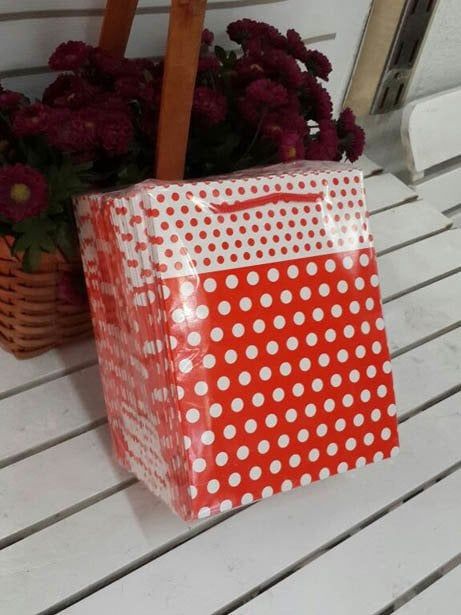 25 Li 14x17 Cm Kırmızı Puantiyeli Körüklü Karton Çanta